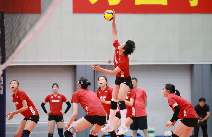 皇家百家乐：一场优雅的澳门之旅